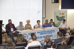selecionada_13