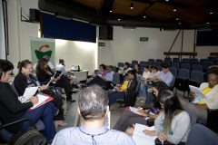selecionada_18