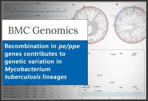 47-recombination-in-pe-ppe-genes-contributes-to-genetic-variation