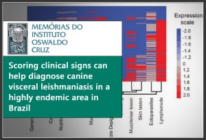 MEMORIAS IOC-Scoring clinical signs can help diagnose