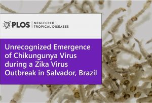 Unrecognized Emergence of Chikungunya